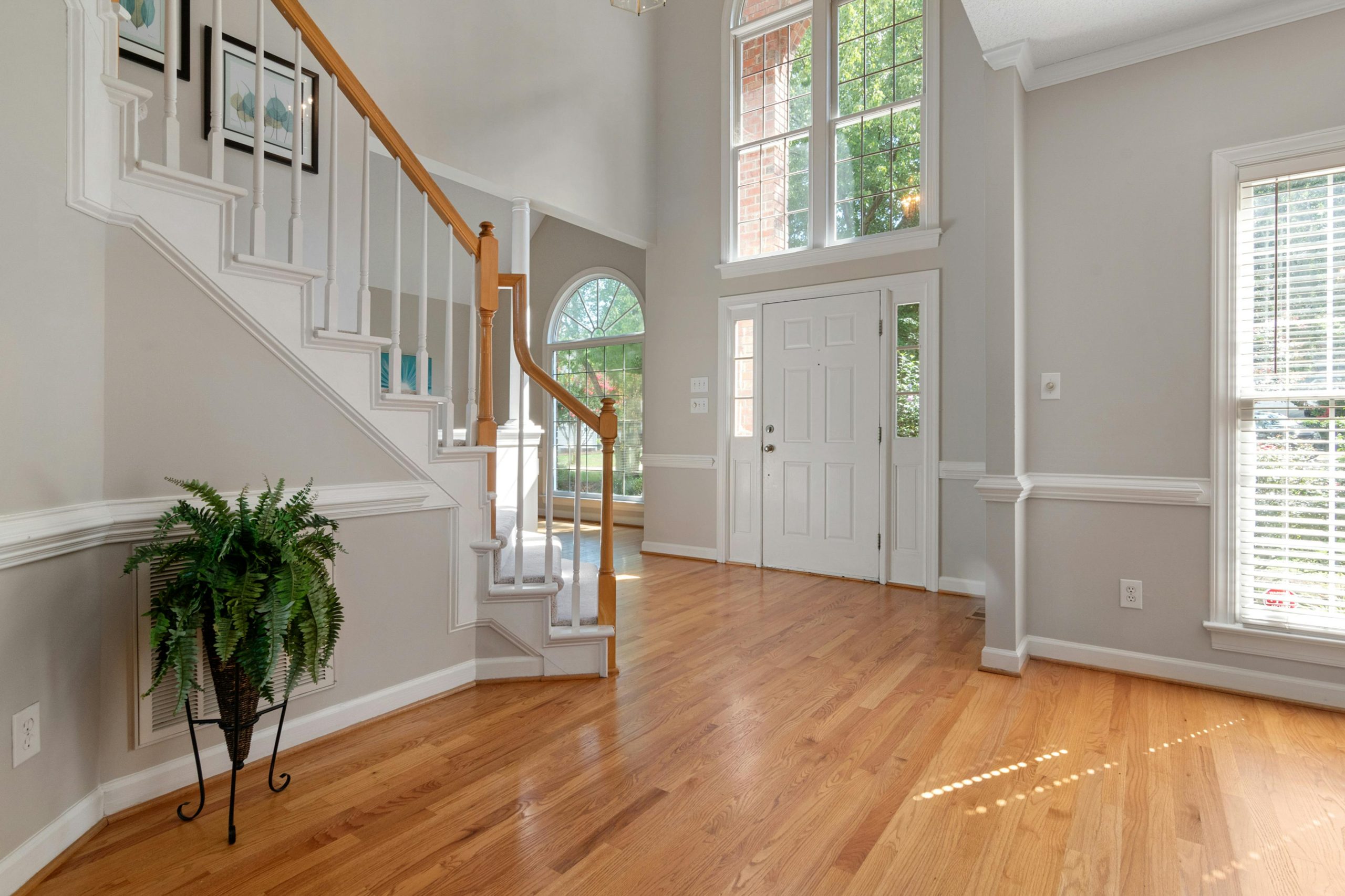 pexels-curtis-adams-1694007-5178052